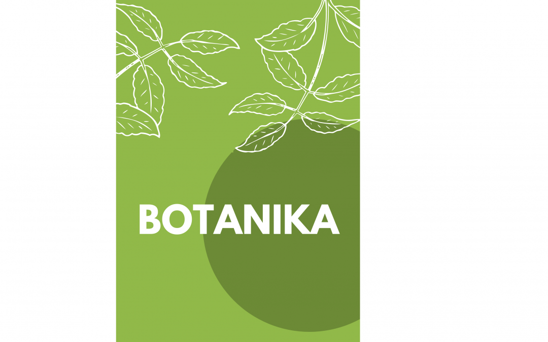 Botanika – úvod