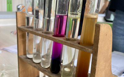 Seminář přírodních věd – chemie